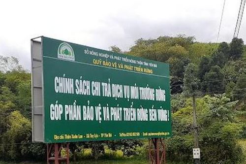 Yên Bái: Kỷ luật nhiều lãnh đạo xã ở huyện Lục Yên vi phạm trong công tác chi trả tiền dịch vụ môi trường rừng