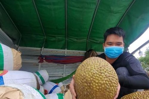 Mít quay đầu từ Lạng Sơn xuất hiện trên nhiều tuyến phố Hà Nội