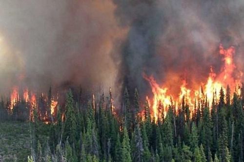 Canada nỗ lực ứng phó với các hiện tượng khí hậu cực đoan