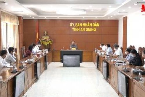 Tập đoàn THACO mở rộng đầu tư chăn nuôi heo công nghệ cao tại An Giang