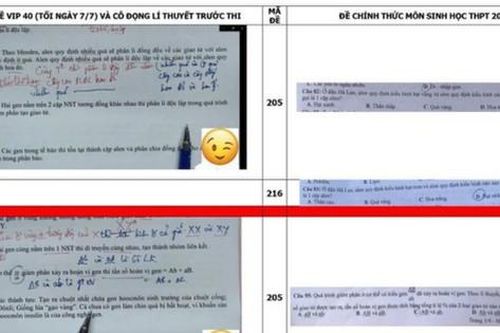 Nghi vấn lộ đề thi môn Sinh học kỳ thi Tốt nghiệp THPT 2021: Bộ Công an vào cuộc xác minh