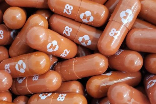 Ấn Độ bổ sung thuốc Molnupiravir và 2 loại vaccine vào 'kho vũ khí' chống Covid-19