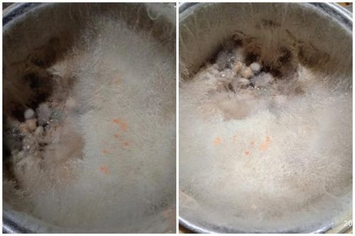 Bất ngờ cách ly, chàng trai về nhà 'tá hỏa' với nồi cơm điện