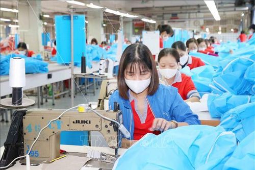 Tác động của dịch COVID-19 tới lao động ngành dệt may, da giày