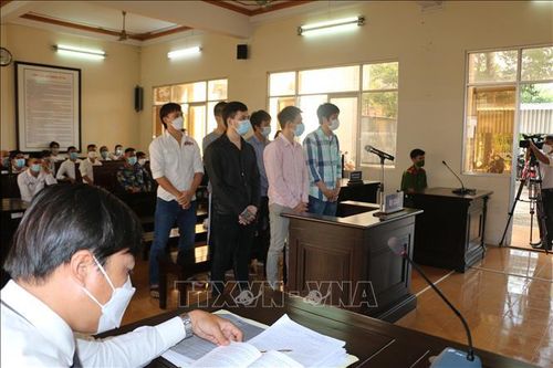 Tuyên án đối với băng nhóm siêu trộm xe ở Bạc Liêu