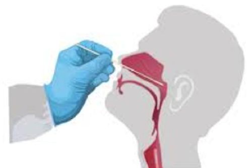 CDC Hà Nội hướng dẫn người dân dùng test nhanh vi rút SARS-CoV-2 tại nhà