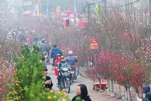 Hà Nội nêu điều kiện tổ chức chợ hoa xuân, lễ hội dịp Tết Nguyên đán 2022