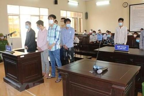 Băng nhóm trộm hơn 50 chiếc xe máy lãnh án
