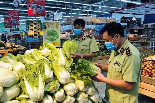 Gỡ vướng trong cấp phép, kiểm tra chất lượng lĩnh vực NN&PTNT