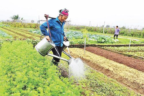 Thực trạng nguồn nhân lực và bài toán ly nông bất ly hương