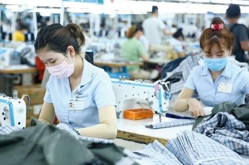 Vững vàng và khởi sắc