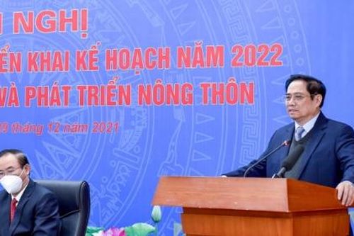 Thủ tướng: Giảm ùn tắc nông sản tại cửa khẩu phải xuất khẩu chính ngạch sản phẩm đủ tiêu chuẩn