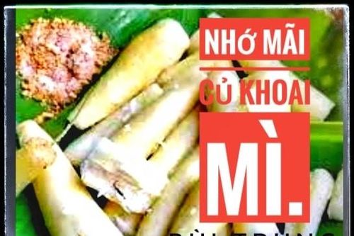 Nhớ mãi củ khoai mì