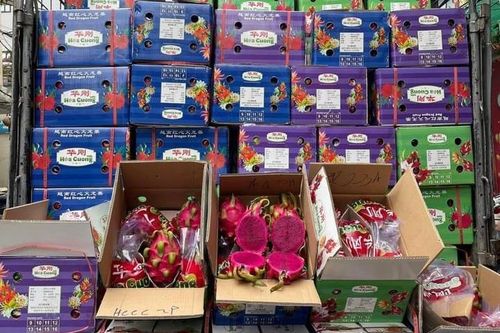 Doanh nghiệp 'vào cuộc' tiêu thụ nông sản ùn ứ tại biên giới