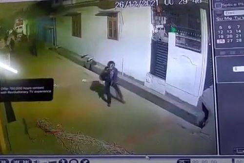 Báo hoa mai đột ngột lao tới vồ ngã người đàn ông