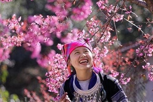 Mù Cang Chải: Tớ Dày nhuộm thắm non cao