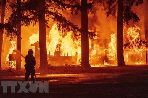 Gió lớn, cháy rừng bùng phát gây thiệt hại nghiêm trọng tại Mỹ