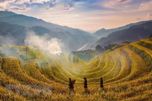 Ruộng bậc thang Mù Cang Chải đón nhận Bằng Di tích Quốc gia đặc biệt