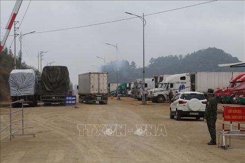Lạng Sơn: Đảm bảo phòng dịch tại khu tập kết phương tiện xuất khẩu