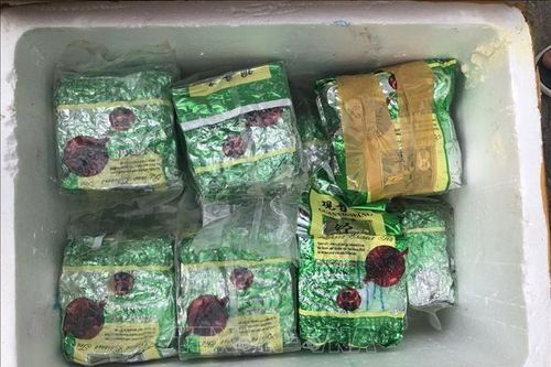 Phát hiện 20kg nghi ma túy trôi dạt vào bờ biển Bà Rịa-Vũng Tàu