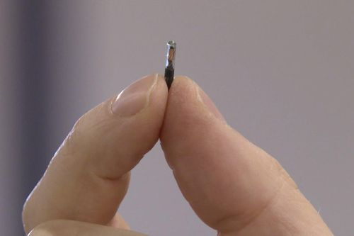 Phát triển chip điện tử cấy dưới da lưu thông tin tiêm chủng COVID-19