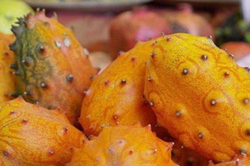 Loại dưa chuột kỳ dị có gai tua tủa, vị như kiwi và chanh dây