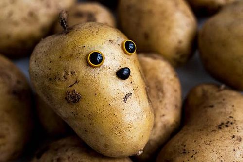 Dùng khoai tây dự báo tương lai và những phong tục đón năm mới 'độc nhất vô nhị'