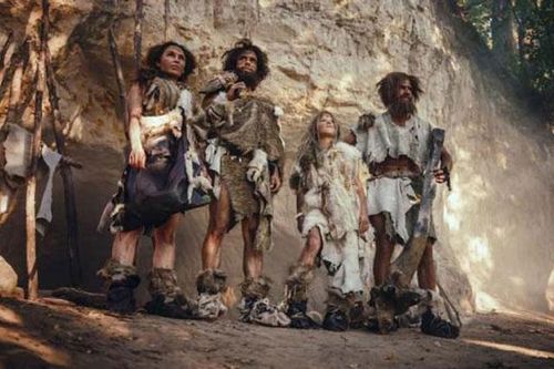 Người Neanderthal có tốc độ sinh trưởng và phát triển nhanh hơn con người