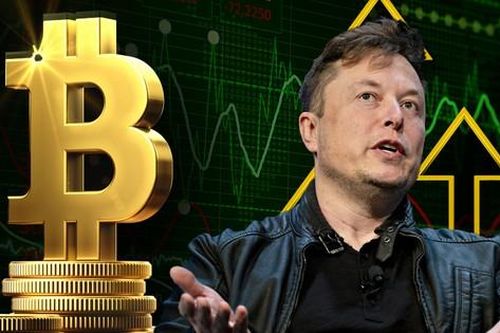Tỷ phú Elon Musk Tiền điện tử là cách kiếm tiền tốt nhất trong lịch sử loài người