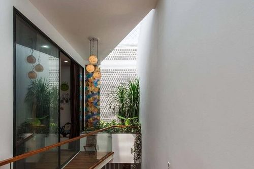 Ngôi nhà thông gió tự nhiên ở thành phố biển, nuôi cá trên sân thượng