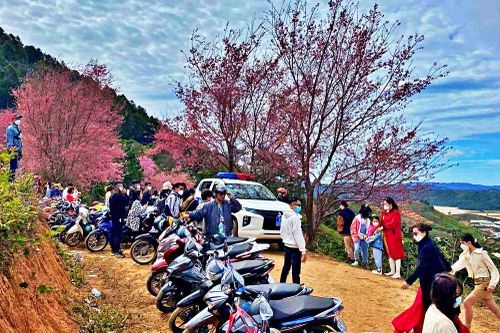 Cập nhật Đà Lạt: Chợ đêm, quán cà phê view 'xịn' đông nghẹt ngày đầu năm mới