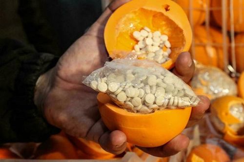 Video hàng triệu viên chất kích thích giấu vào cam giả trà trộn quả thật