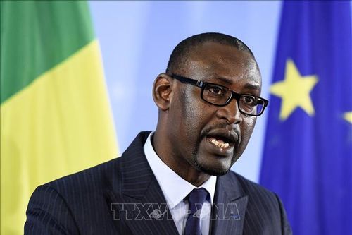Mali đề xuất với ECOWAS về hoãn bầu cử 5 năm