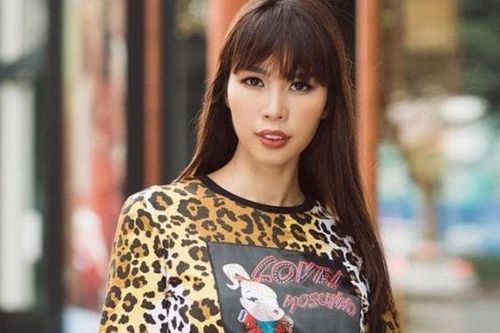 Siêu mẫu Hà Anh gửi lời xin lỗi mẹ đẻ bé gái 8 tuổi bị bạo hành đến chết