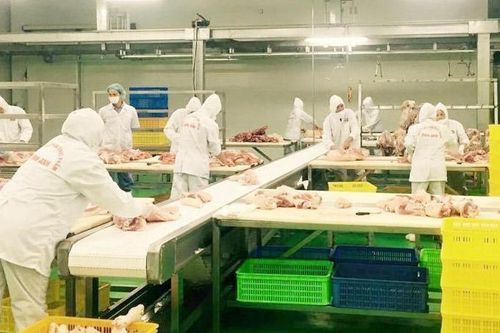Tăng kết nối tiêu thụ nông sản dịp Tết