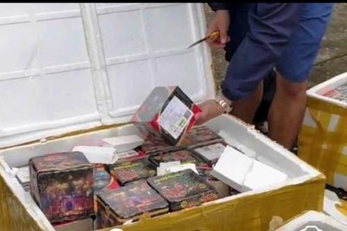 Quảng Nam 2 xe ô tô vận chuyển pháo nổ và động vật hoang dã trái phép