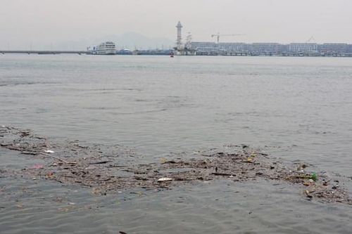 Quảng Ninh: Rác cuộn thành từng đám trên vịnh Cửa Lục