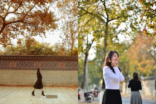 Con đường đậm chất Hàn Quốc lại thu hút giới trẻ Hà thành 'check-in'