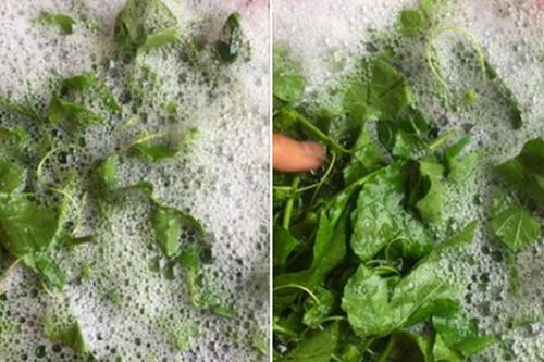 Cộng đồng mạng ngã ngửa với chậu rau ngập trong xà phòng