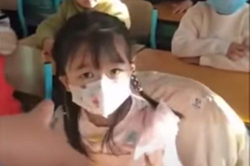 Bắt nạt nữ sinh tiểu học, hai cô giáo trả giá đắt