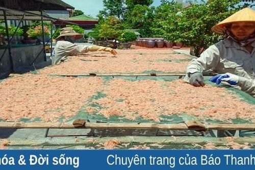 Lộc của biển