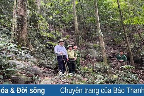 Hạt kiểm lâm huyện Quan Sơn xử phạt 34 trường hợp vi phạm