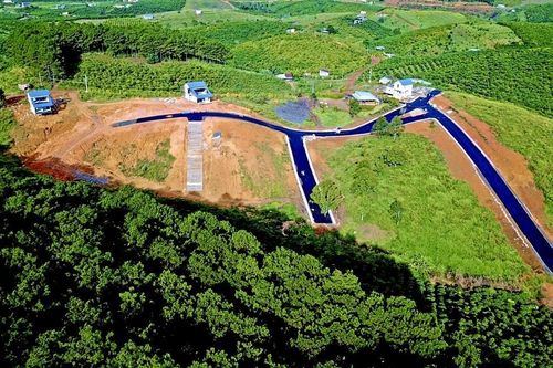 Kiểm tra, truy trách nhiệm vụ khu nghỉ dưỡng bức tử rừng thông ở Lâm Đồng
