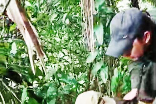 Gặp nạn khi truy quét lâm tặc, một cán bộ rời rừng bằng… tay trong 6 giờ