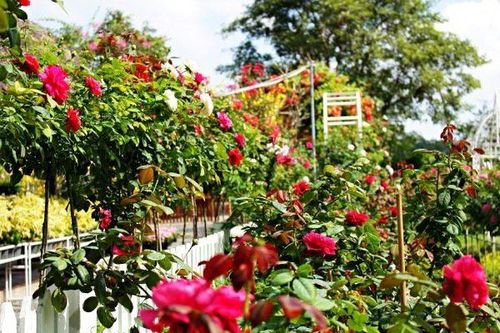 Bỏ vợ lấy bồ xinh, hai năm sau qua nhà vợ cũ, tôi khóc không thành tiếng