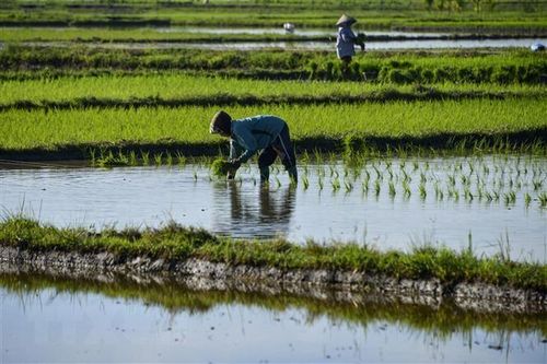 Indonesia phân bổ gần 1 tỷ USD để phục hồi kinh tế trong năm 2022