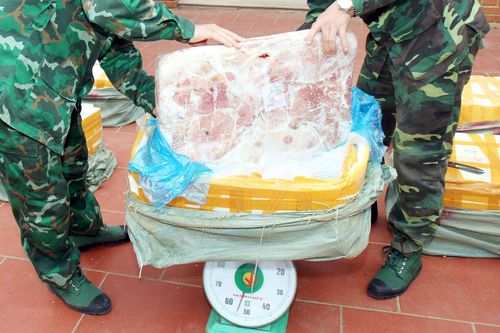 Lào Cai thu giữ lô hàng 500kg nầm lợn đông lạnh không rõ nguồn gốc
