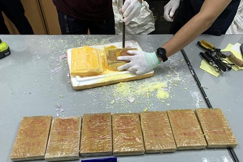 TP Hồ Chí Minh: Thu giữ gần 25 kg ma túy và 18 kg cần sa qua đường chuyển phát nhanh