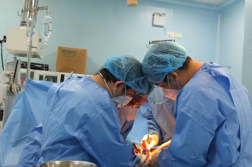 Dùng màng ngoài tim bò tạo hình mạch máu, cứu bệnh nhân viêm thủng động mạch chủ