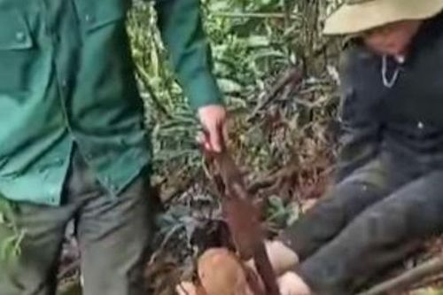Cứu một cán bộ bảo vệ rừng gặp nạn giữa rừng sâu